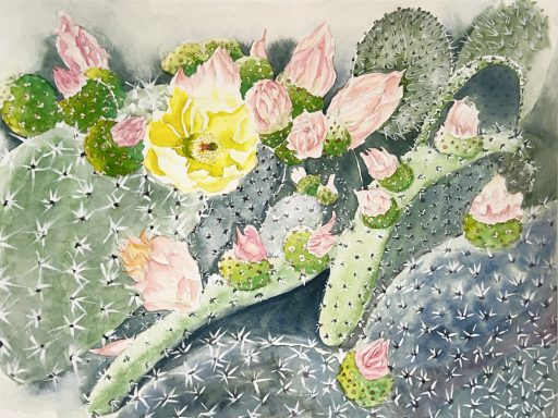 Tenderness Among the Spines