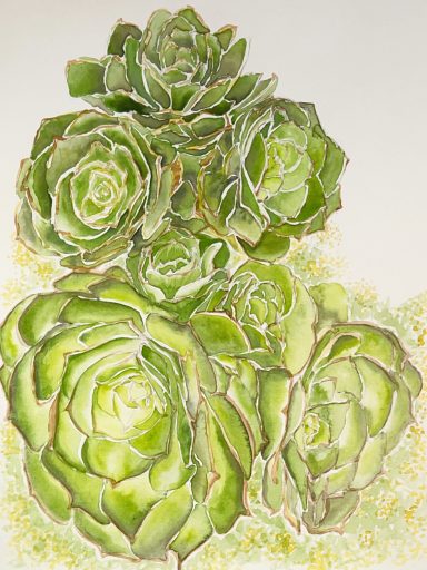 Blooming Chorus of Green